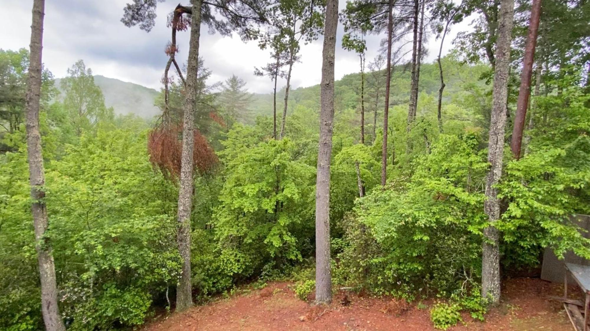 Cherry Log The Cozy Lazy Laurel With Year-Round Mountain Views, Hot Tub, Fire Pit 빌라 외부 사진